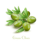 Green Olives Design Table Napkin