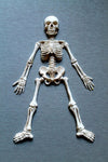 Halloween Skeleton Mold