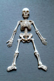Halloween Skeleton Mold