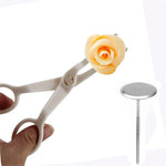 Piping Flower Scissors & Nail Set